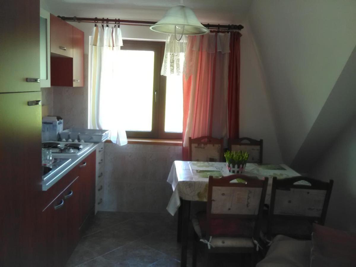 Apartment Kovacevic Fužine Екстериор снимка